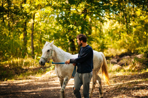istock Man walking with his horse in forest 1211219727