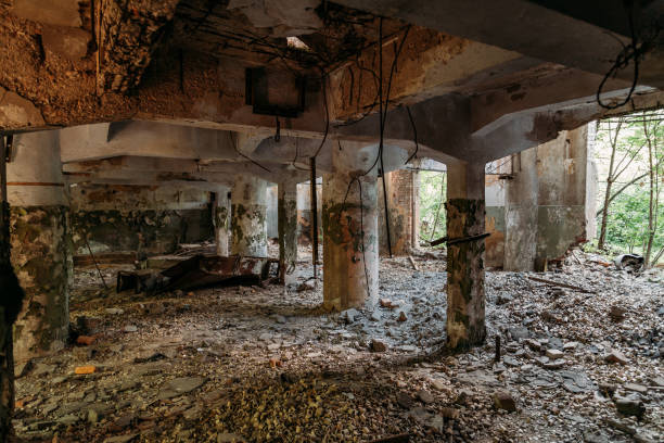 istock Old abandoned ruined industrial building overgrown by plants and trees 1211220162