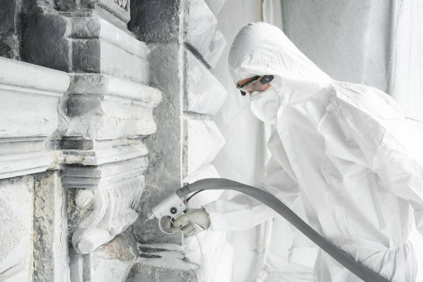 el hombre con un uniforme de protección blanco limpia la escultura tallada en piedra de la suciedad y el hormigón con una máquina de chorro de arena. restauración de esculturas de piedra. un chorro de arena a alta presión. - sculptor art and craft carving stone fotografías e imágenes de stock