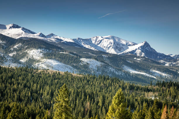 istock Snowy mountain, green forest and blue sky in Tatras 1211221790