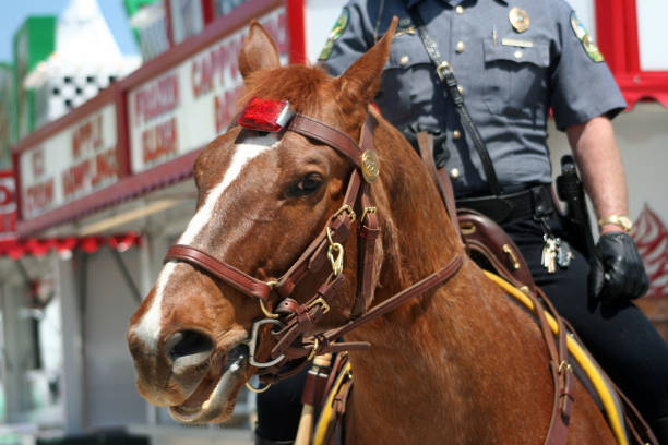 istock Police horse in downtown Toronto 1211222014