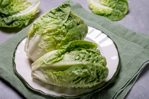istock Fresh green raw Romaine or cos lettuce 1211222031