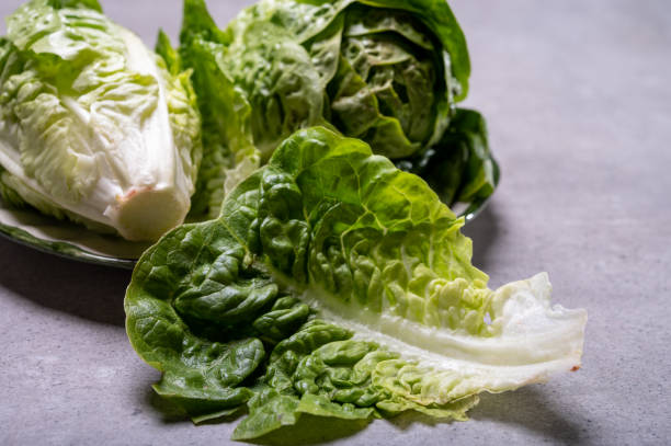 istock Fresh green raw Romaine or cos lettuce 1211222052