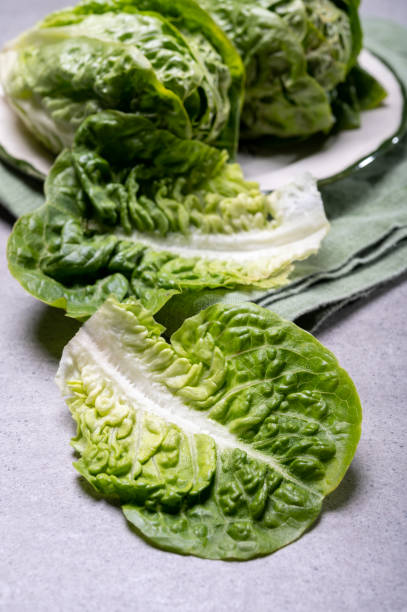 istock Fresh green raw Romaine or cos lettuce 1211222089