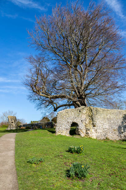 Lewes Priory in Sussex The ruins of Lewes Priory in Sussex, on a sunny day norman uk tree sunlight stock pictures, royalty-free photos & images