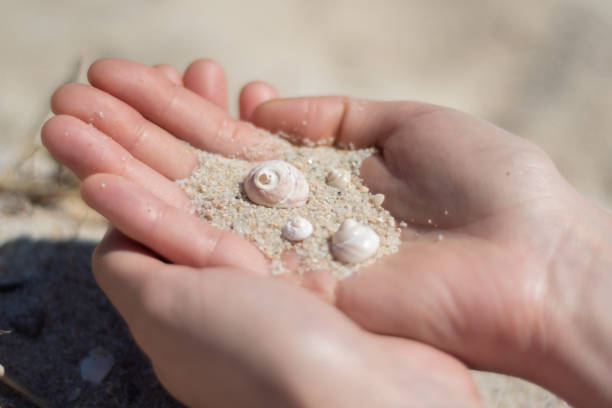 istock Close-up of hands holding sand and shells 1211224829