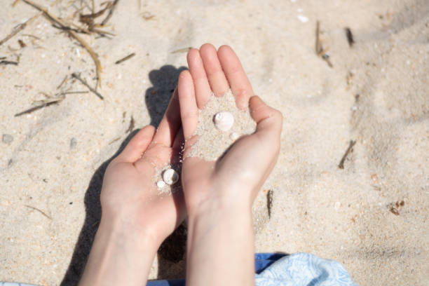 istock Close-up of hands holding sand and shells 1211224831