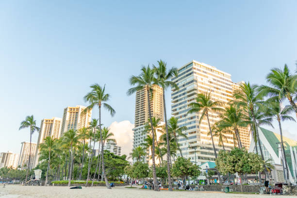 hotéis localizados ao longo da praia em waikiki beach - building exterior hawaii islands palm tree beach - fotografias e filmes do acervo