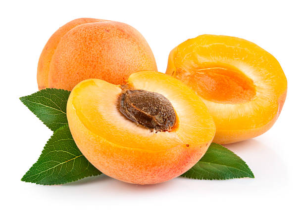 apricot fruits with green leaf stock photo