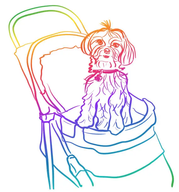 Vector illustration of Elderly Pet Dog Rainbow