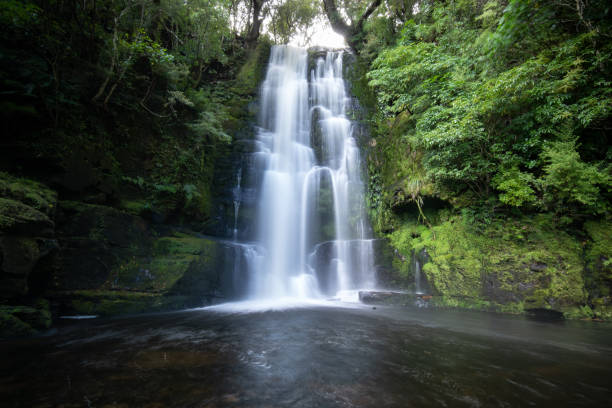 красивый водопад новой зеландии - moss stream rock water стоковые фото и изображения