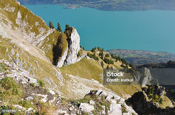 Photo libre de droit de Alpes Bernois banque d'images et plus d'images libres de droit de Alpes européennes - Alpes européennes, Alpes suisses, Arbre