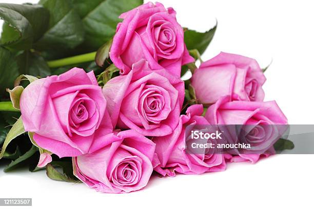 Розовые Розы На Белом — стоковые фотографии и другие картинки Белый фон - Белый фон, Букет, Изолированный предмет