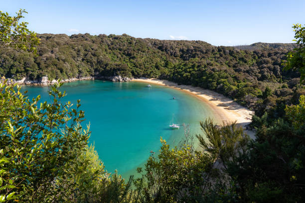 istock beautiful view of Abel Tasman track 1211236316