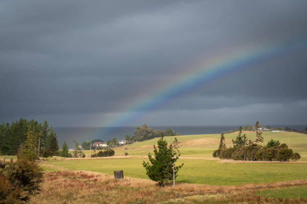 rainbow in nz