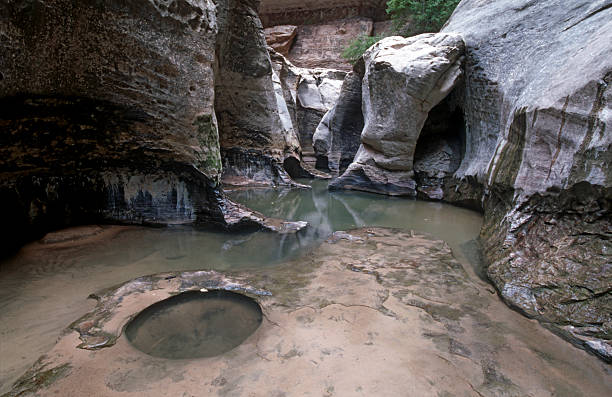 Pools in the Subway (Left Fork), Zion NP, Utah, USA
