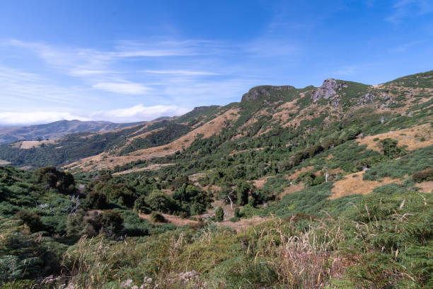 istock View of Akaroa from the mountains 1211238211