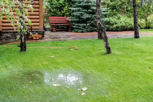 Photo of Garden bushes, tree and green grass lawn covered with water due to snow melting thaw and flash high water at spring. Natural disaster deluge flooded house backyard pathway ang greenery at countryside