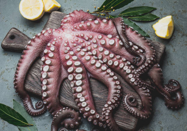 istock Raw fresh octopus on wooden table with laurel. Top view 1211239193