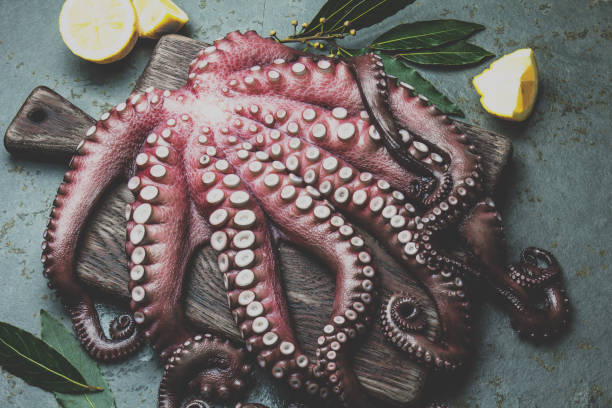 istock Raw fresh octopus on wooden table with laurel. Top view 1211239197
