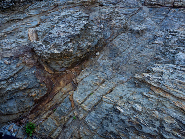 istock Rocky shore pattern background, Natural background and wallpaper. 1211241202