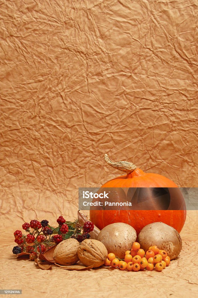 Definição de Outono - Royalty-free Abóbora Sugar Pie Foto de stock