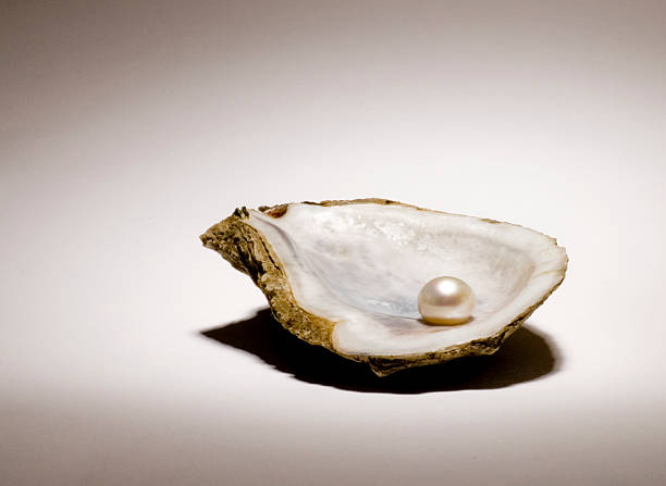 oyster shell und perlen - schmuckperle stock-fotos und bilder