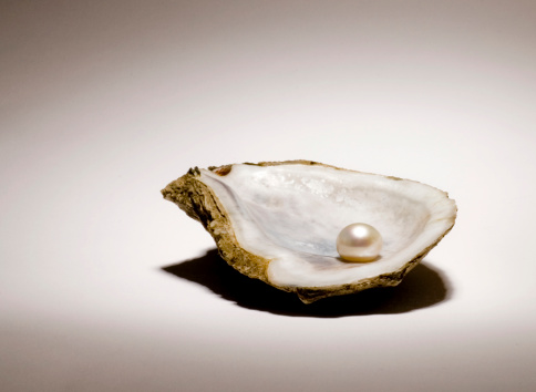 Carcasa de ostras y Pearl photo