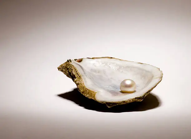 Photo of Singe pearl sitting in an oyster shell on a light background
