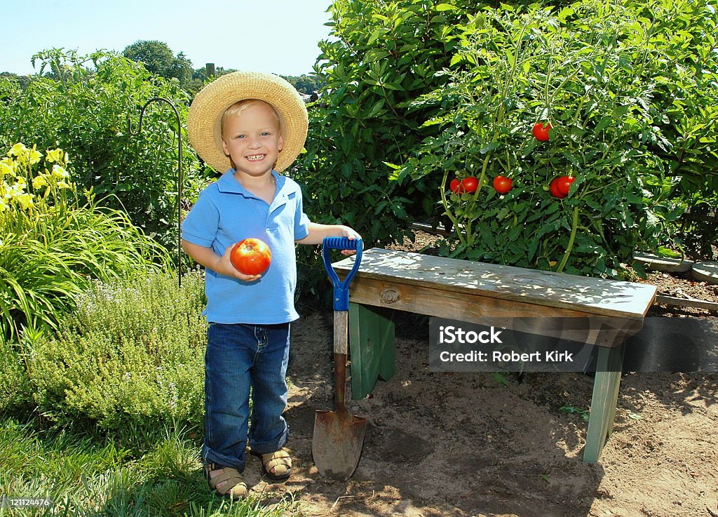 Menino com tomate e pá - Foto de stock de Canteiro de Flores royalty-free