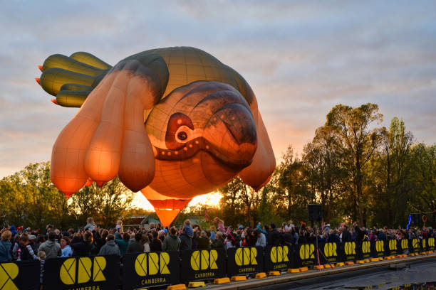 日の出時には、多くの色の熱気球がキャンベラ市と湖の上空を飛ぶ準備ができています。キャンベラの日には、大勢の人が「スカイホエール」を賞賛するようになりました。オーストラリア� - multi national ストックフォトと画像