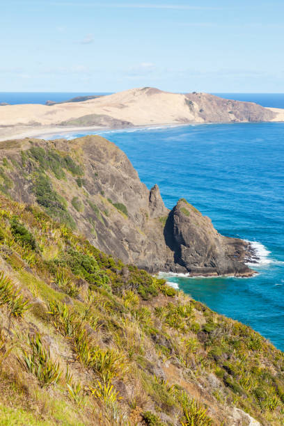 istock Te Werahi Beach in New Zealand 1211253313
