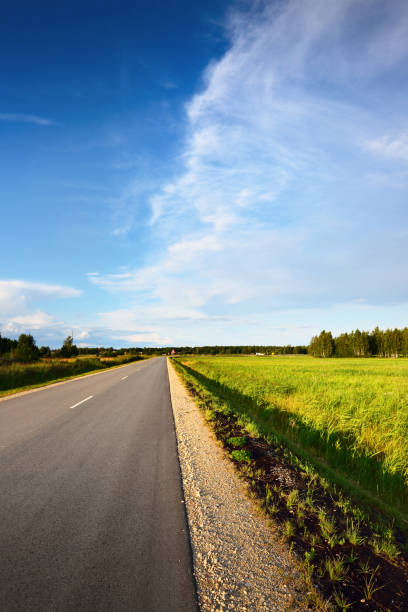 istock An empty asphalt road through the country fields, green forest in the background. Latvia 1211253408