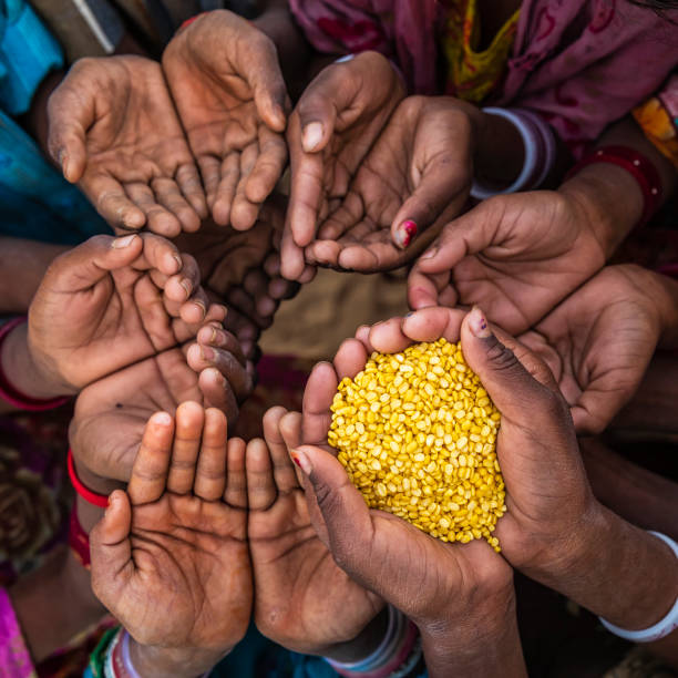 istock Hunger in Africa - hands asking for food 1211255078