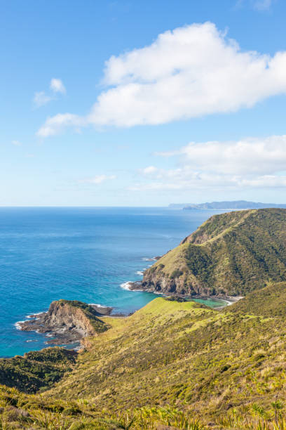 istock A Small Cove Near Cape Reinga 1211258684