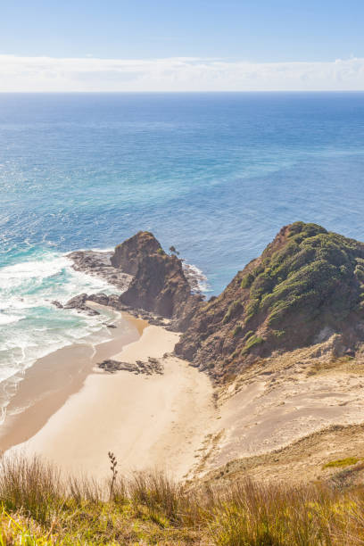 istock Te Reinga in New Zealand 1211258685