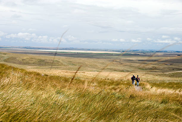 istock Tall grass on rolling hillsides, with two hikers. 121126004
