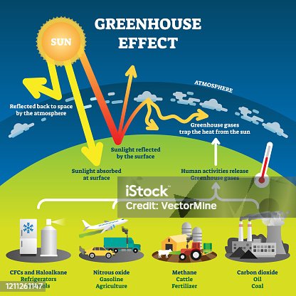 835 Greenhouse Effect Diagram Stock Photos, Pictures & Royalty-Free Images  - iStock | Sun
