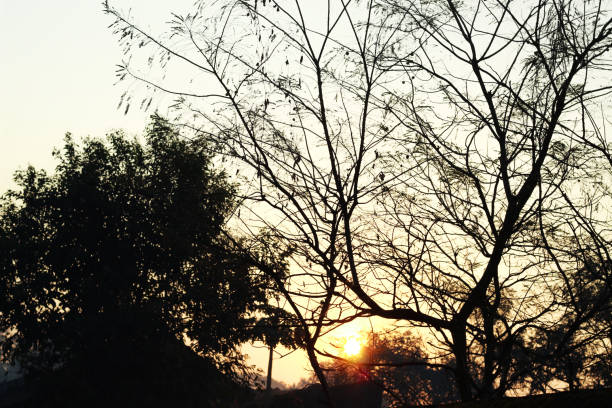Sunrise at village morning view