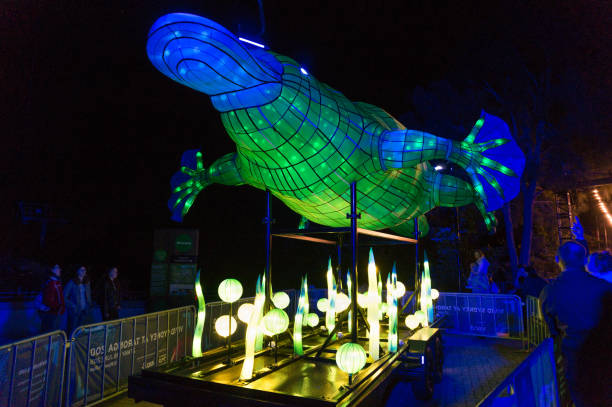 escultura ligera de ornitorrinco en el zoológico de taronga. vivid sydney light festival - taronga fotografías e imágenes de stock