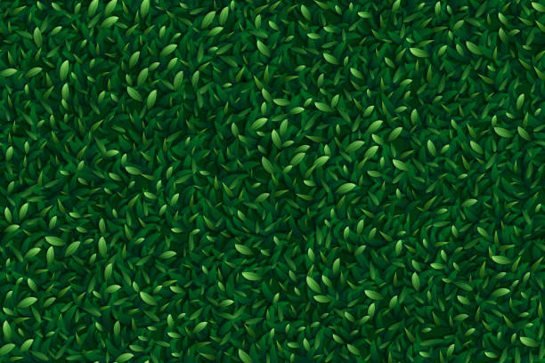 zielone liście bez szwu tła - backgrounds color image directly above full frame stock illustrations