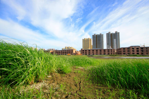 city building scenery, China