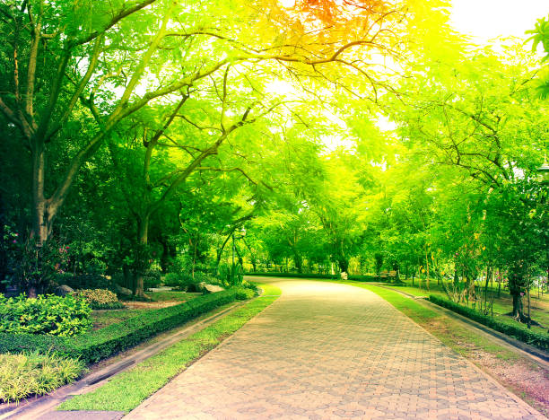 istock colorful stone pathway in the green park 1211276307