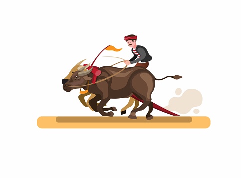 race buffalo asian traditional attraction, man riding two buffalo in cartoon flat illustration isolated in white background