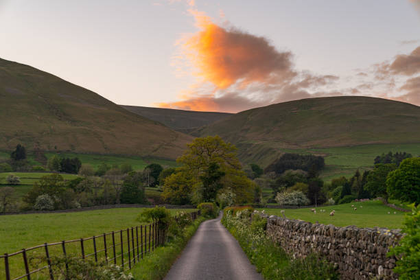 istock Near Sedbergh, Cumbria, England 1211279059
