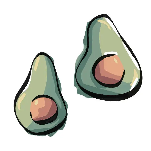 Vector illustration of Avocado illustrations