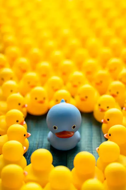 Photo of One strange different blue rubber duck facing the camera as many other yellow rubber ducks gather around and look at the blue duck, set on a turquoise wooden table background.