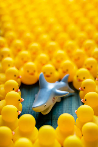 istock Dangerous rubber shark among many yellow rubber ducks, which are gathered around and looking at the shark, set on a turquoise wooden table background. 1211280256