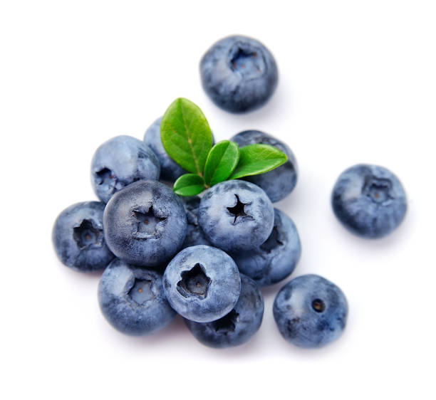 Blueberries with leaves stock photo