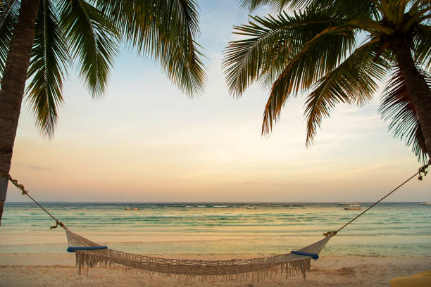 istock Hammock under palm trees on the tropical beach at dusk 1211282933